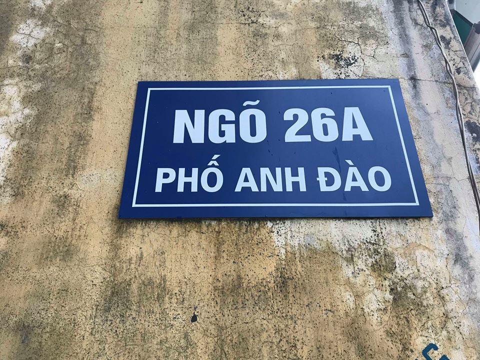 Our Houses Ha Long Exteriör bild